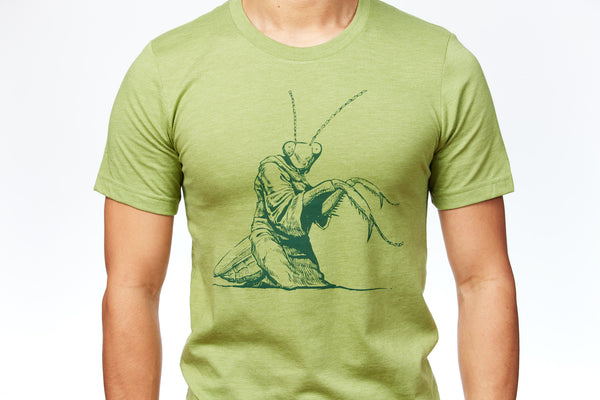 Praying Mantis